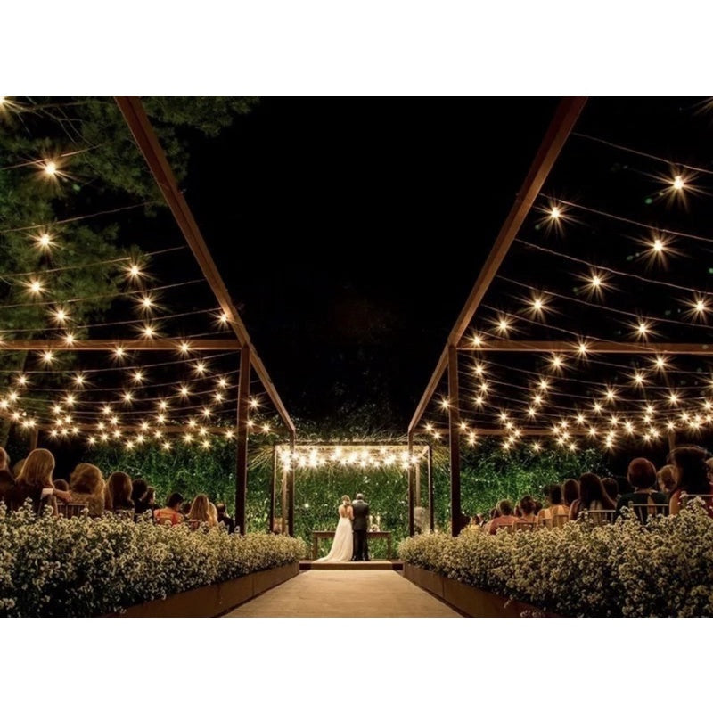 Varal De Luzes Festao 20 Mts (Lampadas Inclusa) Canto Decor